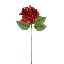 12 Pack: Red Hydrangea Stem by Ashland