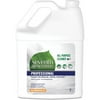 Seventh Generation Professional All-Purpose Cleaner Liquid - 128 fl oz (4 quart) - 1 Each - Multi
