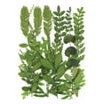 thumbnail image 1 of Juego de hojas secas Wosthever Calcomanía de hoja real decorativa Tipo 1 Conjunto de hojas verdes, 1 of 6