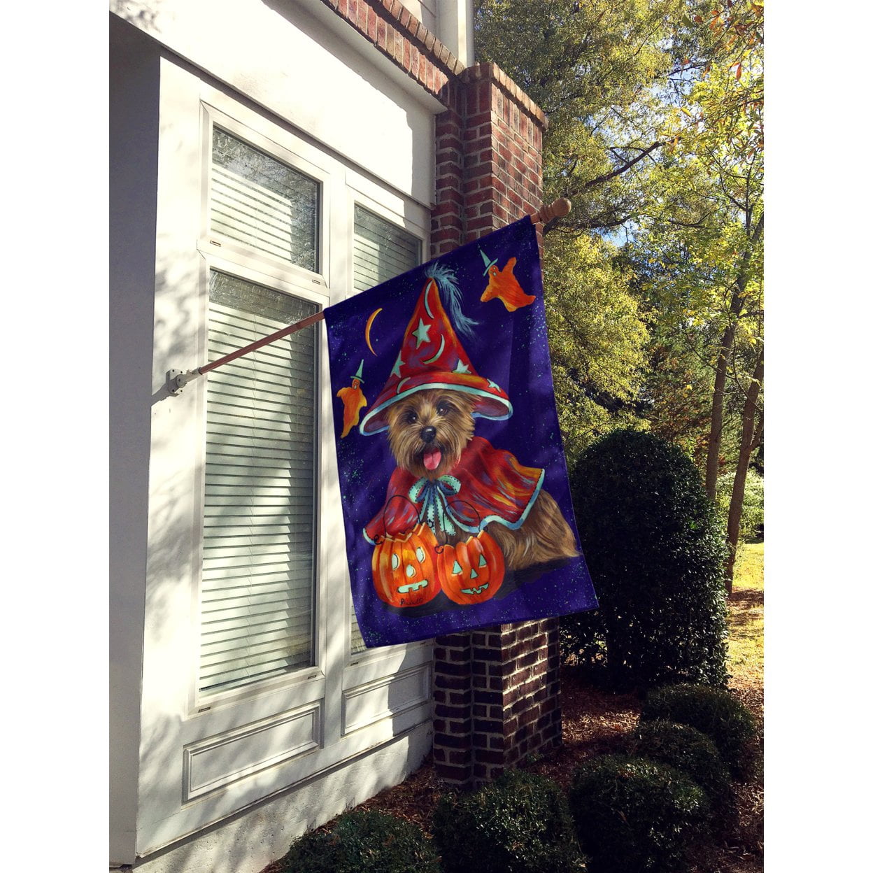 Carolines Treasures PPP3061CHF Cairn Terrier Halloween Witch Flag Canvas House Size  Large multicolor
