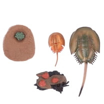 Homoyoyo Sea Animal Figurine Set, Horseshoe Crab Model, Plastic, Assorted Colors, Realistic Life Cycle Toy for Kids and Collectors