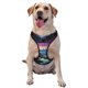 thumbnail image 1 of Fotbe Fantasy Landscape Starry Night Arnés para Perro con Estampado –Chaleco Ajustable Acolchado con Asa de Control para Perros Grandes-Large, 1 of 6