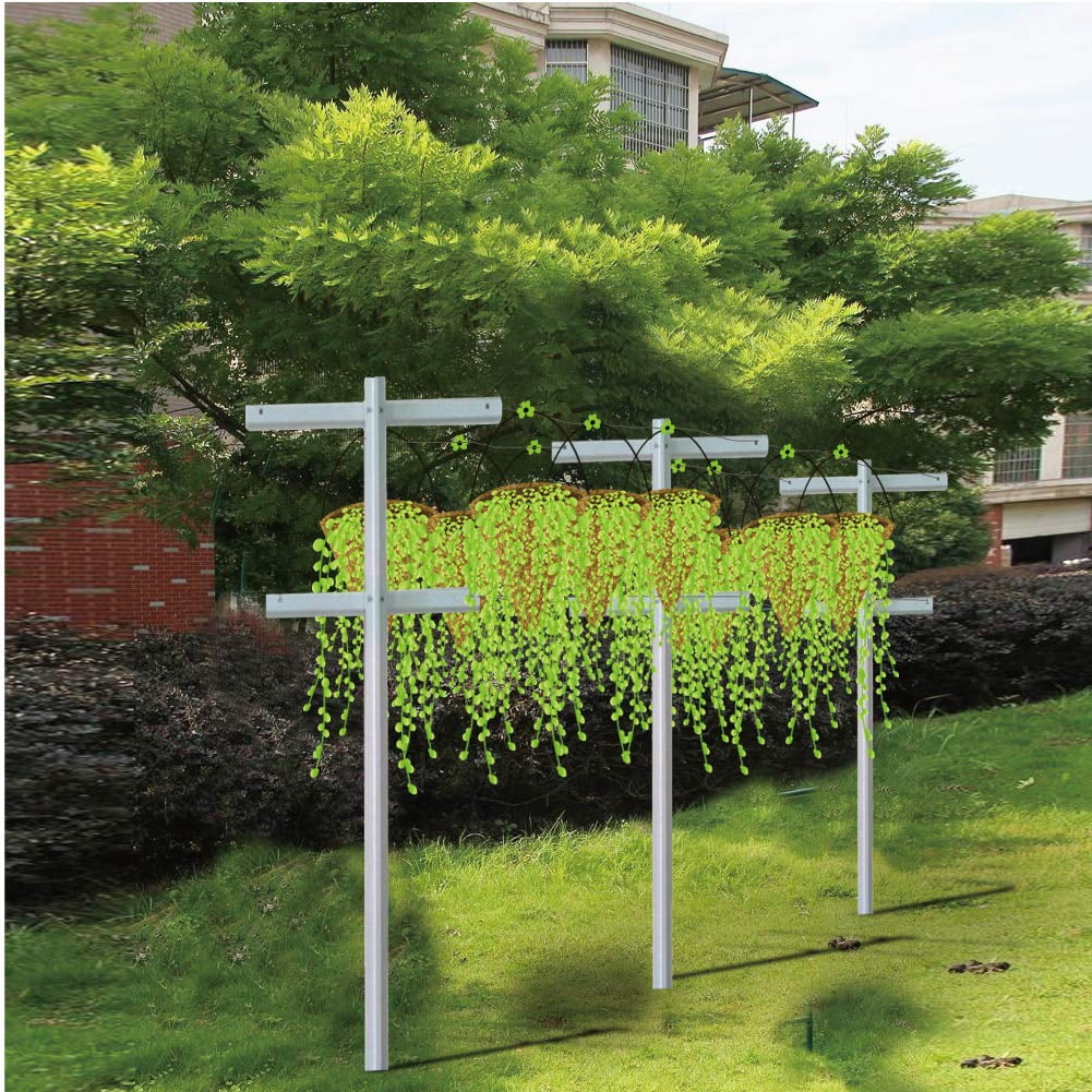 Mr. Garden, 2 Pack, 7-Feet, Raspberry Trellis with Adjustable Arms