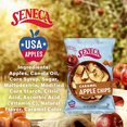 thumbnail image 3 of Seneca Caramel Apple Chips Made from Fresh Apples 100% Red Delicious Apples Perfection Great for Kids and Adults Healthy Snack On the Go Halloween Goody Bag Filler and Christmas Stockings 0.7oz- 4 PK, 3 of 7