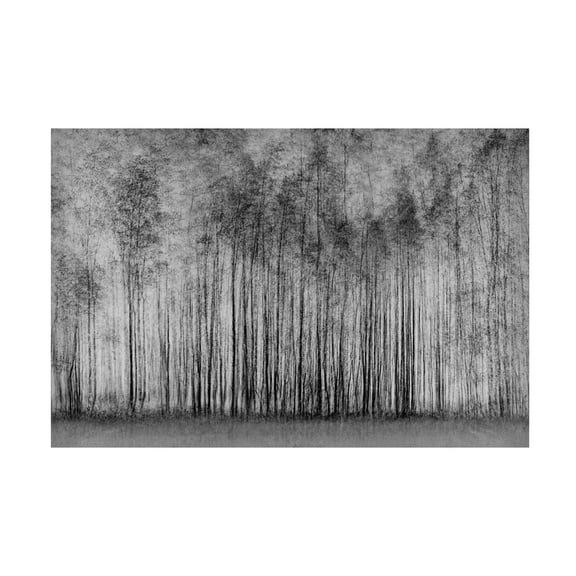 Canvas Wall Art - Roswitha Schleicher-Schwarz ' Impenetrable Forest' Wall Art for Living Room, Bedroom, or Office Décor by Trademark Fine Art - 19 x 12 Inches