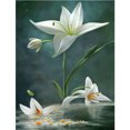 thumbnail image 1 of Diamond Painting 5D DIY Full Round Drill Lilywhites Art Decoración del hogar (A6437) FLhrweasw Nuevo, 1 of 9