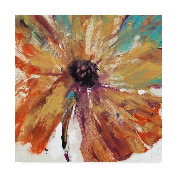 Trademark Fine Art 'Orange Splash I' Canvas Art by Tim OToole