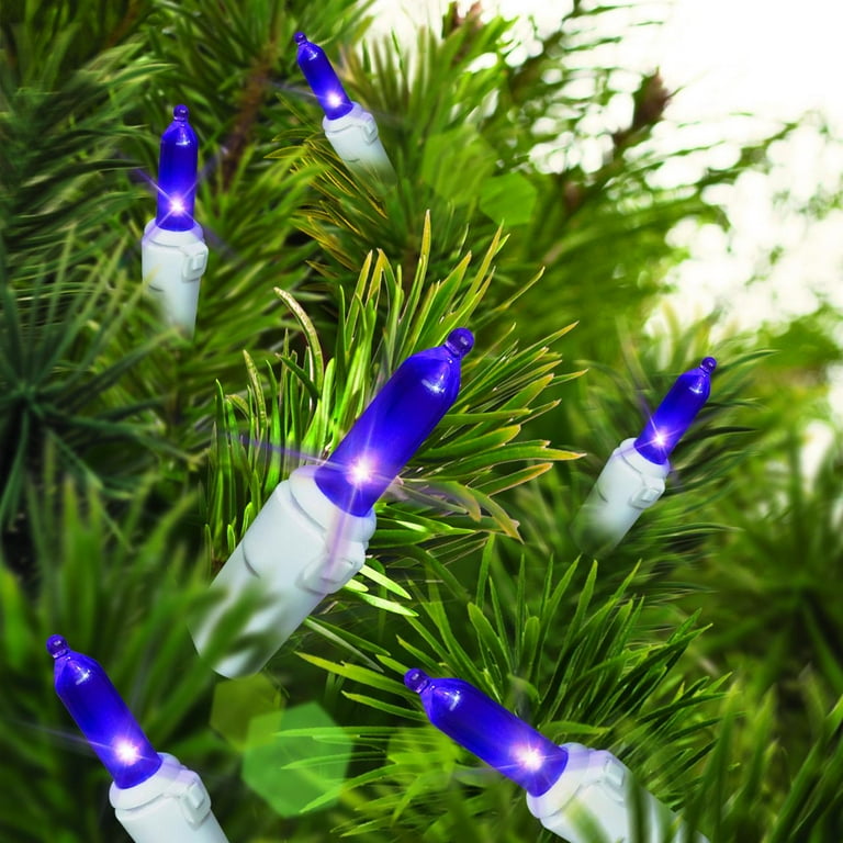 Holiday time shop mini christmas lights