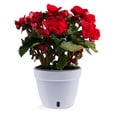thumbnail image 6 of ⭐ Santino ASTI 7.1 Inch Self Watering Planter WHITE/BLACK for Indoor Plants - Premium Modern Plastic Planter Pot w/ Water level Indicator for All House Herbs, Plants, African Violets and Dahlias, 6 of 9