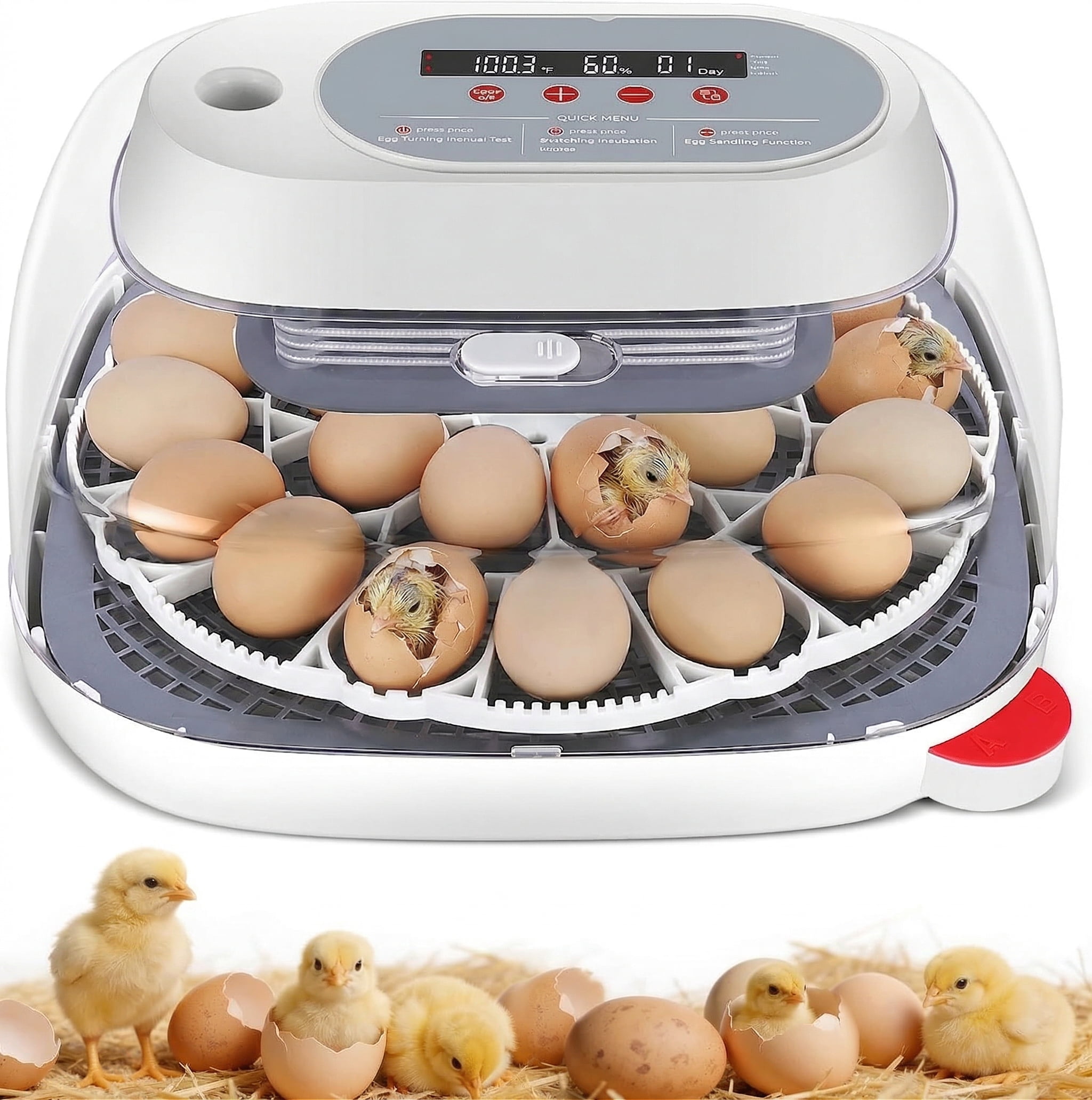 Little Giant Automatic Chicken Egg Turner for Incubator with