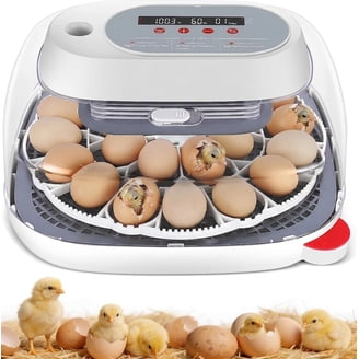 Little Giant White Digital Still Air Incubator - Walmart.com