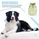 thumbnail image 5 of Methold Ropa para perros Suavidad Suministros para mascotas Transpirable Exquisito Chaleco para cachorros Otoño e invierno Correa Perros Camisetas Ropa Ropa para mascotas Frijol Verde SG Methold PT003793-33B, 5 of 6