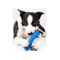 thumbnail image 4 of WO Bone Small Blue Bone Toy for Small Dogs, 4 of 4