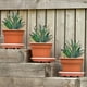thumbnail image 1 of Adorno de planta de agave Maceta Decoración de planta en maceta de agave (Verde) Ndcxsfigh Para estrenar, 1 of 8