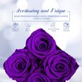 thumbnail image 6 of Otuo Preserved Roses in Gift Box, Real Eternal Rose Flower Gifts for Girlfriend, Mom, Women, Wife, Birthday Anniversary and Valentine's Day (Purple), 6 of 8
