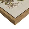 thumbnail image 4 of Pemberly Row 4-Piece Wood Framed and Fabric Herbal Botany Canvas Set in Green, 4 of 6