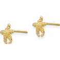 thumbnail image 2 of 10K Yellow Gold Unique, Timeless, Alluring 8.21 Mm 7.64 Polished Textured Starfish Post Earrings, 2 of 4