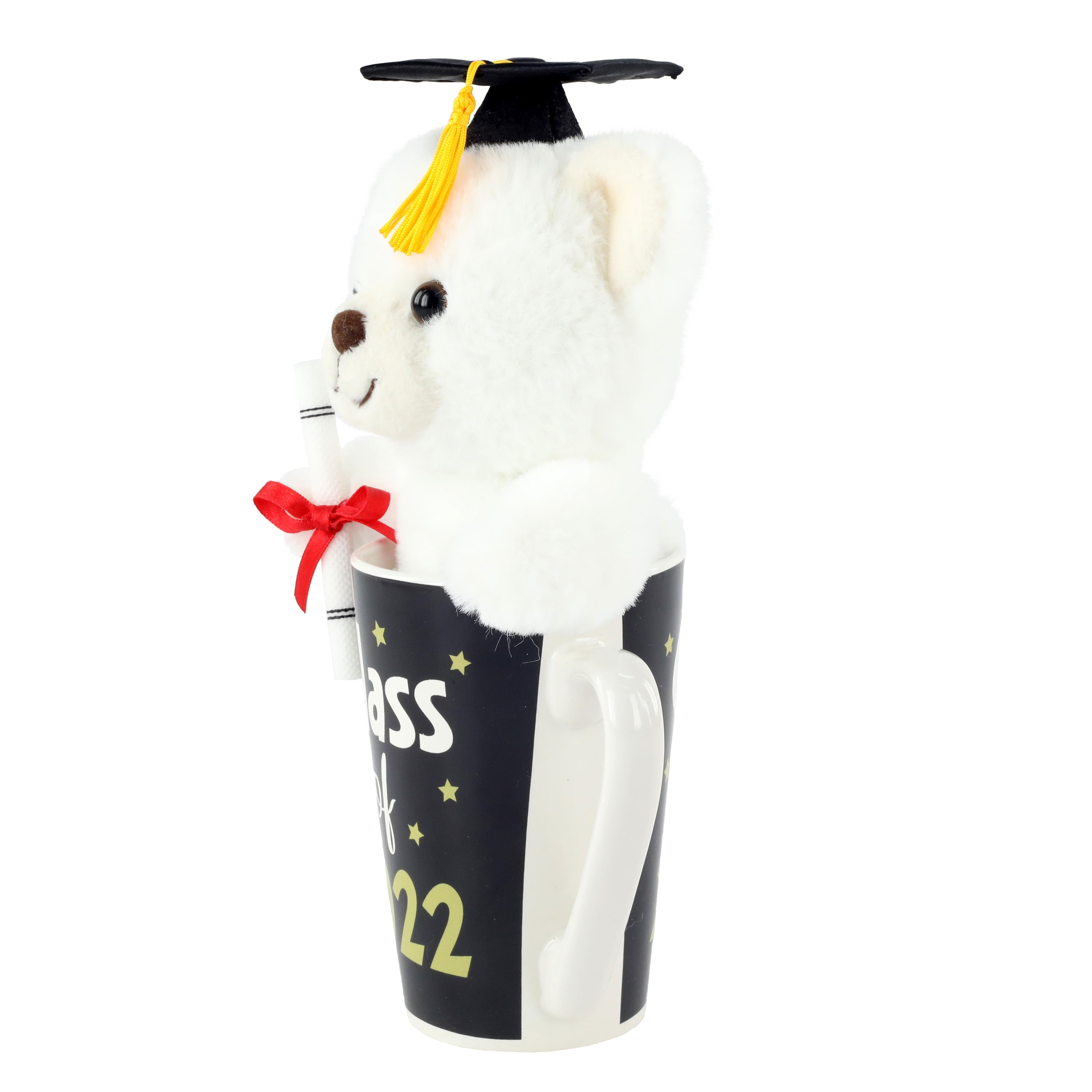 Way To Celebrate Graduation Plush Toy in Latte Mug Bear Walmart