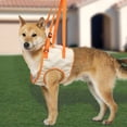 thumbnail image 5 of El arnés de elevación para perros con soporte trasero ayuda a los perros con lesiones por artritis L, patas traseras de pie, rehabilitación de mascotas discapacitadas, 5 of 5