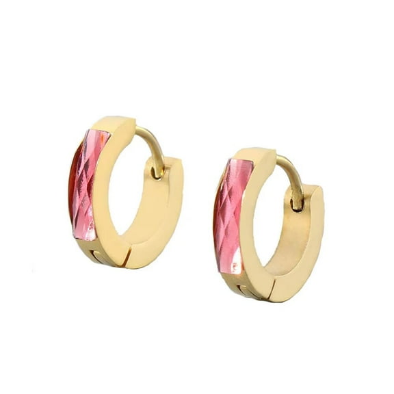 HIJONES Colorful Cubic Zircon Hoop Earrings Stainless Steel Earrings for Women Gemstone Huggie Ear Jewelry Gold Dark Pink