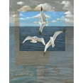 thumbnail image 2 of Friel, Tara 20x24 Black Ornate Wood Framed with Double Matting Museum Art Print Titled - Three White Gulls II, 2 of 4