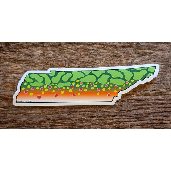 Tennessee Brook Trout Skin Sticker Decal