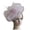 PK1, variant on CAIXIA Fascinators Hat Flower Mesh Ribbons Feathers on a Headband and a Clip Tea Party Headwear for Girls and Women