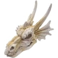 thumbnail image 1 of Decoraciones de calavera de dragón para pecera, accesorios para tanque de dragones barbudos, cueva escondida de reptiles, calavera de cocodrilo, calaveras de resina, Reptiles, 1 of 5