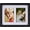 Rustic Black, variant on Collage Picture Frame, Double 4x6 Picture Frame with Mat, Fits 8x10 or Two 4x6 Photos, Tempered Glass, for Tabletop or Wall Mount-Classic Black