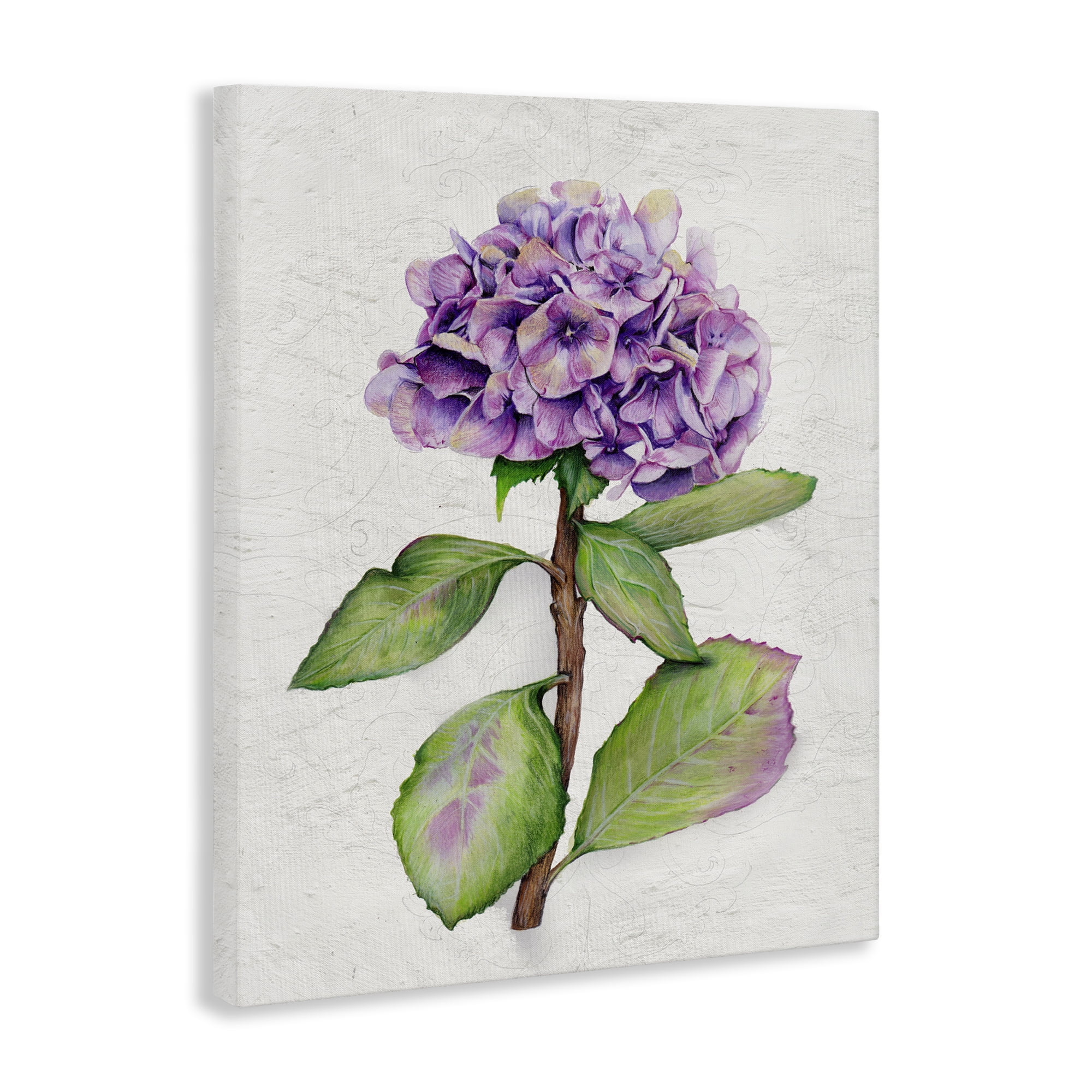 Stupell Industries European Style Hydrangea Botanical & Floral Painting Gallery Wrapped Canvas Art Print Wall Art, 16 x 20