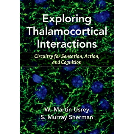 UPC: 9780197503874 | Exploring Thalamocortical Interactions: Circuitry for Sensation Action and Cognition (Paperback)