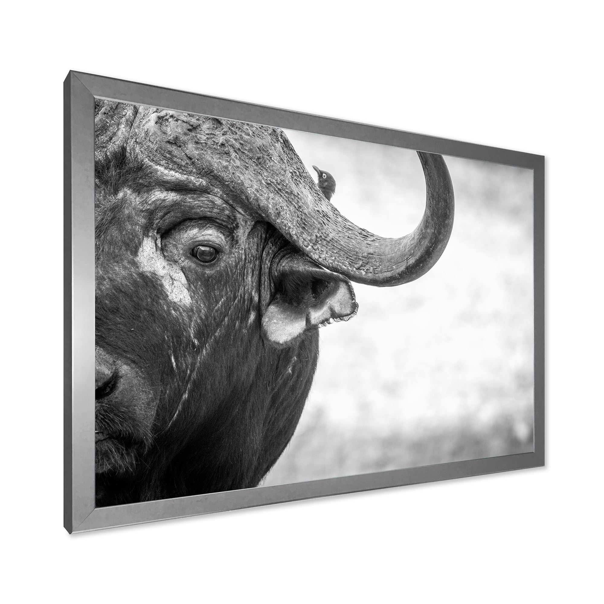 Designart 'Black and White Portrait Of Buffalo III' Farmhouse Framed Art Print