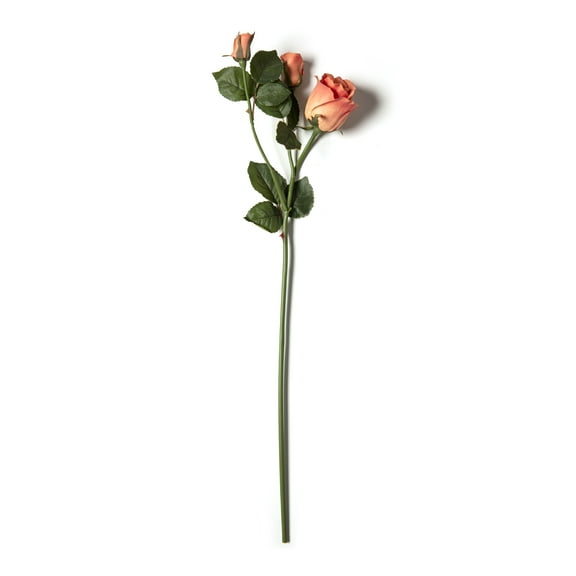 Coral Faux Real Rose Stem by Ashland®