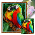 thumbnail image 1 of (11CTACC-2482__C__ 40x50) hilo algodón ecológico bordado 11CT 3 hebras impresión 40*50cm kit serie punto cruz loro, 1 of 9