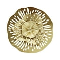 thumbnail image 1 of Disco irregular de metal para decoración de pared, fondo de sofá, colgante de pared de hierro L, 1 of 9