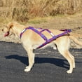 thumbnail image 6 of Reflective Dog Sled Harness Adjustable Big Dog Weight Pulling Harness Pet Sleding Harness for Medium Large Dogs Husky Skijoring (DEEP BLUE,XL), 6 of 7