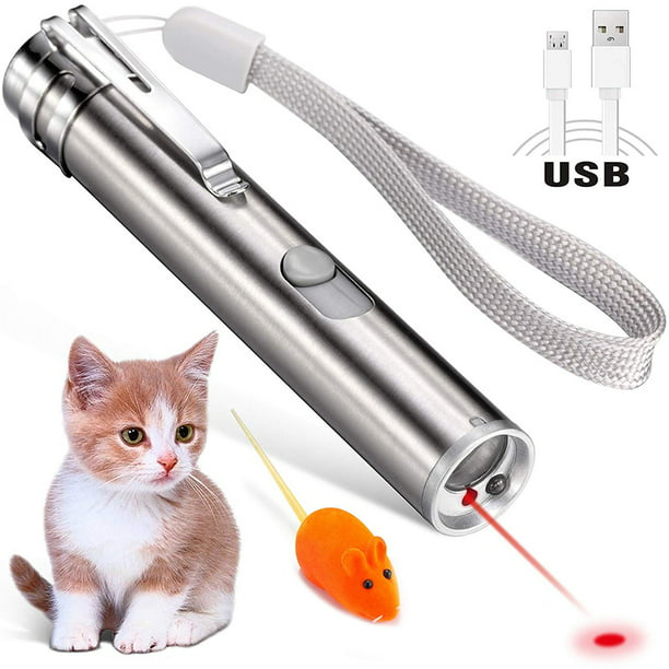 Person in charge experimental Inclined Laser Pointer for Cats USB Rechargeable, Cat Dog Interactive Lazer Toy, Pet  Training Exercise Chaser Tool, 3 Mode - Red Light LED Flashlight UV Light  with A Squeaky Mouse - Walmart.com