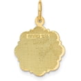 thumbnail image 3 of 14k Yellow Gold RN Registered Nurse Disc Charm - 20mm, 3 of 6