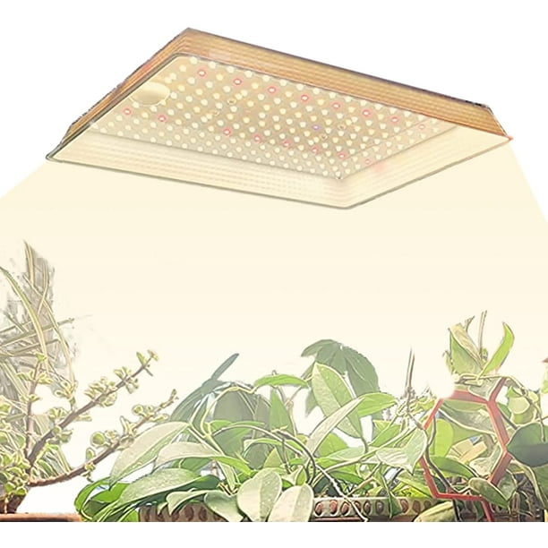 600w Led Grow Lights For Indoor Plants