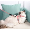 thumbnail image 2 of RV Arnés de correa para gato Arnés ajustable para gato y correa de cuerda para caminar con seguridad para gatitos (azul claro, S) BRILLAR Rojo Verde, 2 of 5