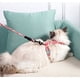 thumbnail image 2 of Arnés de correa para gato Arnés ajustable para gato y correa de cuerda para caminar con seguridad para gatitos (azul marino, S), 2 of 5