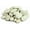 Ivory, variant on Southwest Boulder & Stone Polynesian Pebble | 20 Pounds | Natural, Decorative Stones for Landscaping, Gardening, Potted Plants, and Terrariums (Ivory, 1/2 Inch - 1 Inch)