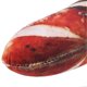 thumbnail image 2 of Food Cushion Pillow Sleeping Decoration Plush Toys Gift Back Support Simulation Food PillowSimulation Sausages, 2 of 4