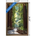 thumbnail image 3 of Lantern Press - Muir Woods National Monument, California, Pathway Wall Poster, 14.725" x 22.375" Framed, 3 of 5