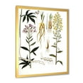 thumbnail image 2 of Designart 'Ancient Plant Life VIII' Farmhouse Framed Art Print, 2 of 4