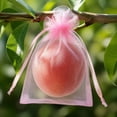 thumbnail image 4 of Fruit Protection Bags M 3.9x5.9in Organza Drawstring Pink Insect Barrier Netting Pouches for Orchard Garden Farm Pest Prevention, 4 of 6