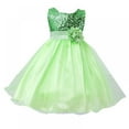 thumbnail image 1 of CNKOO Robe Princesse en Dentelle Cendrillon pour Petites Filles Robes de Bal de Concours Robes de Filles en Tulle Fleur, 1 of 5