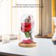 thumbnail image 2 of Luz LED con cúpula de cristal con forma de rosa encantada con acento romántico de alambre de cobre para el hogar, decoración nocturna, regalo perfecto para amantes y amigos, 2 of 8