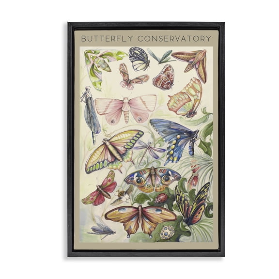 Stupell Industries Cottage Vintage Butterfly Conservatory Black Floating Frame Canvas Art, 17 x 25, by Diannart