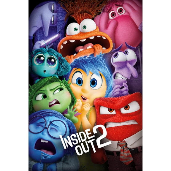 Inside Out 2 (DVD) Box Set